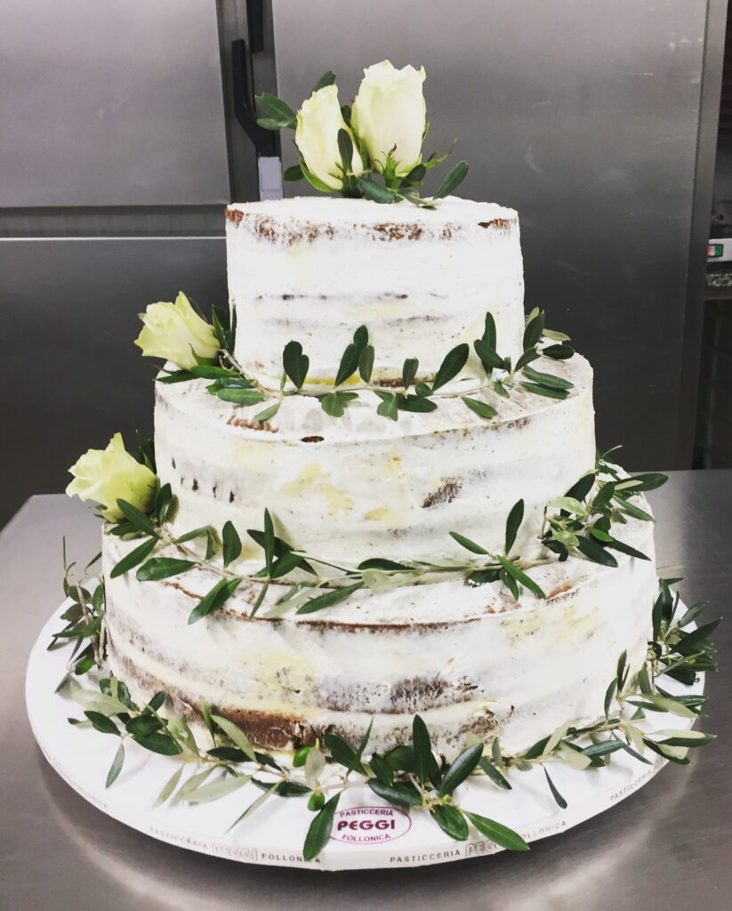 rustic wedding cake con ulivo
